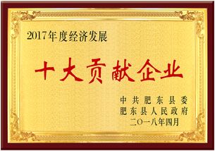 熱烈慶祝安徽皖信人力資源管理榮獲肥東縣經濟發展大會雙項獎，樹立人力資源服務新標桿